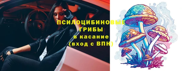 экстази Богородицк